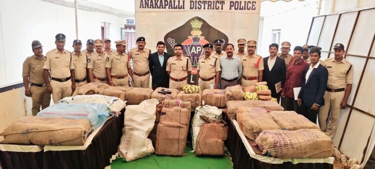 పోలీసు ల దాడి లో పట్టుబడ్డ  రూ.3 కోట్ల  గంజాయి.